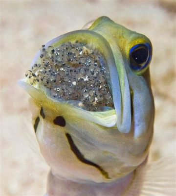  Yellowhead Jawworm: A Curious Creature That Lurks Beneath The Sands, Exchanging Bioluminescent Signals With Its Deep-Sea Neighbors!